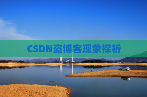 CSDN盗博客现象探析